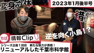【ほぼ新品】國松の内科学 有限会社まるにや / BEPPU OCHARD® ベップ オチャード かぼす緑茶