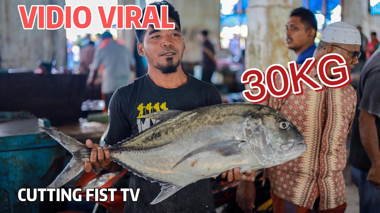 Amazing fish cutting skills in the world ! 30 kg giant trevally ~Cutting Fish TV~