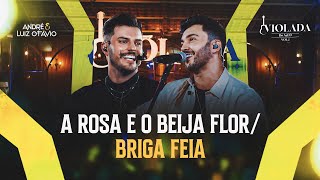 A Rosa e o Beija Flor / Briga Feia - Violada do AeLO Vol.2