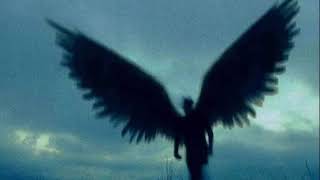 تراك ابن متناكه