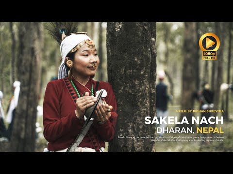 SAKELA Nach | a festival of Kirat Community | Cinematic Tribal Dance and Music | Dharan, Nepal