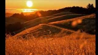 Gladiator OST -  Elysium, Honor Him & Now We Are Free