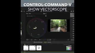 Final Cut Pro Shortcut | Control-Command-V | Show Vectorscope
