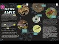 Wood Frog Survival Quiz