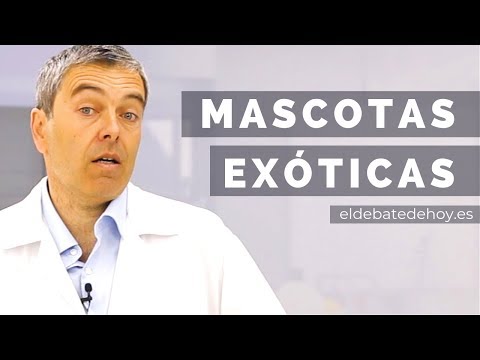 Video: Personas y mascotas exóticas: problemas médicos que compartimos