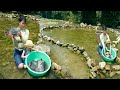 Single girl blocks the stream with stones to catch fish  goes to the market to sell fish