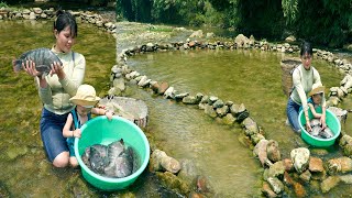 Single girl blocks the stream with stones to catch fish  Goes to the market to sell fish