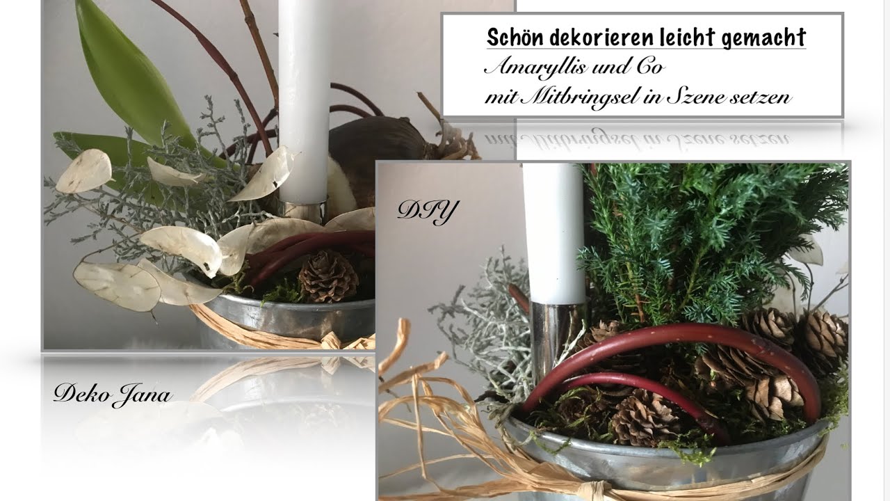 DIY: Wohn.- und Deko Idee, mit Mitbringsel edel dekorieren, Amaryllis und Co / Deko Jana