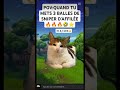 #cat #cute #dj #cutecat #memes #music #kitten #edit