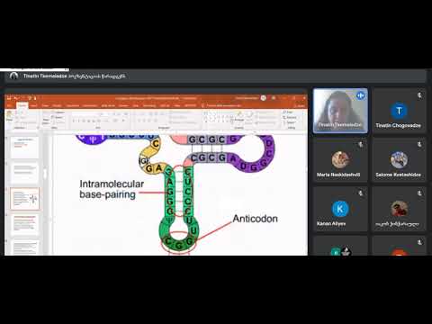 გენეტიკა-ტრანსლაცია.