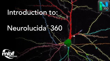 Introduction to Neurolucida 360