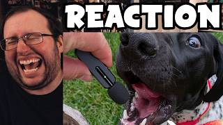 Full Gor's UNUSUAL MEMES COMPILATION V380 by UnusualVideos REACTION News