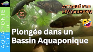 Le bain d'aquaponie : une expérience sensorielle inoubliable en harmonie avec la nature