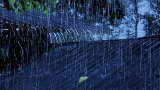 Heavy Rain On A Tin Roof For Sleeping  Sleep Instantly With Heavy Rainstorm & Thunder Sounds