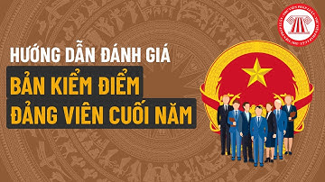 Mẫu Bản Kiểm Điểm Đảng Viên Cuối Năm Và Cách Đánh Giá | TVPL