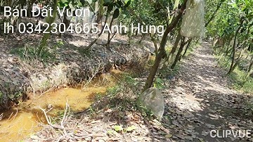 Nhà Đất Bán Đất Vườn 10×120m Giá 1ty600tr Cái Bè Tiền Giang
