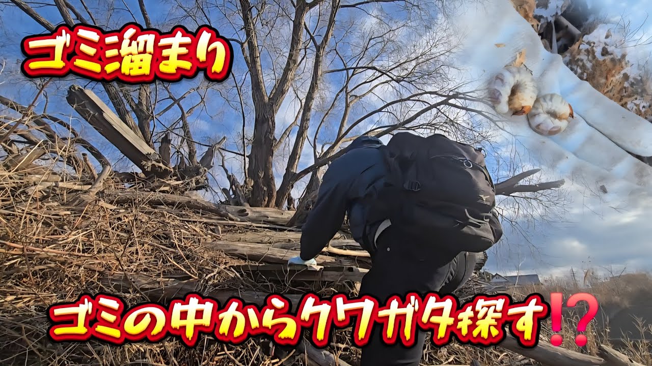 【昆虫採集】樹木が無くてもクワガタは採れる⁉️ゴミ溜まりはクワガタの宝庫⁉️