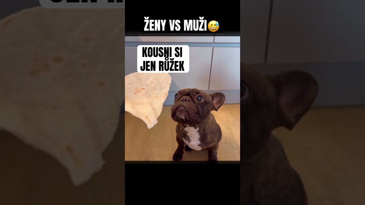 😀😅no holt jsme nenažranci 