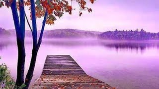 We Found a Peaceful Escape That Felt Like Another World
