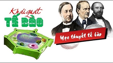 KHÁI QUÁT VỀ TẾ BÀO | SINH HỌC 10