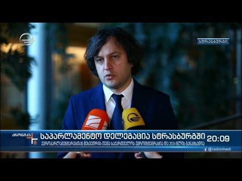 საპარლამენტო დელეგაცია სტრასბურგში