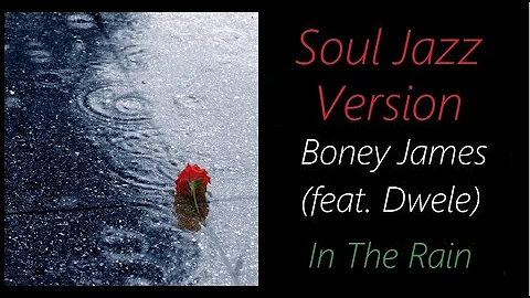 Boney James (feat. Dwele) - In The Rain | ♫ RE ♫