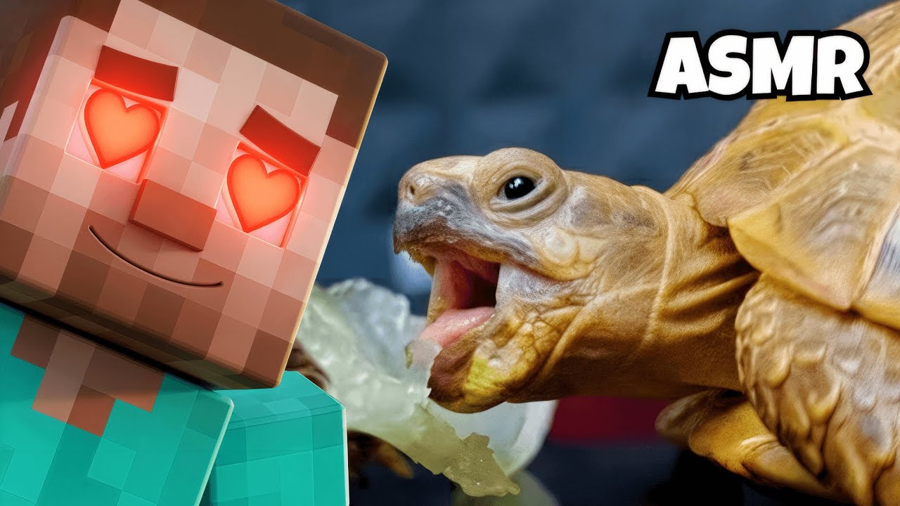 EPIC! Steve Feeds His Turtle Army 🐢⚔️ | Minecraft ASMR Mukbang