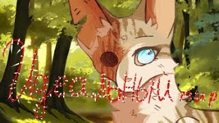 картинка: ♡Коты воители яролика//клип//идеальный мир♡