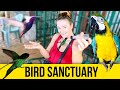 Bird Sanctuary. Doctor Bird. Jamaica Video Guide.