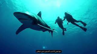 Cib Egypt Cib Wellsavers Ep. 1 - Scuba Diving By Icon Creations