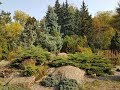 Харьковский ботанический сад или куда сходить в Харькове в свободное время