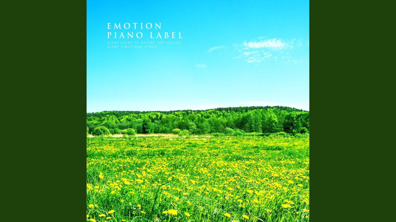 在 YouTube 上观看 Hold Me Softly (Nature Ver.)