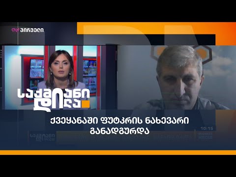 ფუტკრების ნახევარზე მეტი განადგურდა!რა იწვევს საქართველოში ფუტკრის დაცემას და რა ვითარებაა სექტორში?