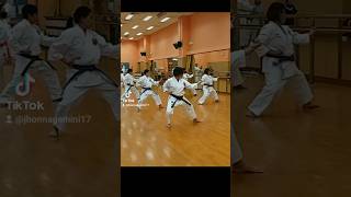 Heian  Sandankarate Shotokan Skci Hk ofw ofw cool amazing shotokan karate ageisjustanumber