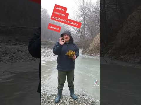 Лекарство для печени