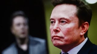 Elon Musk Nick Shirley What they didn't tell you