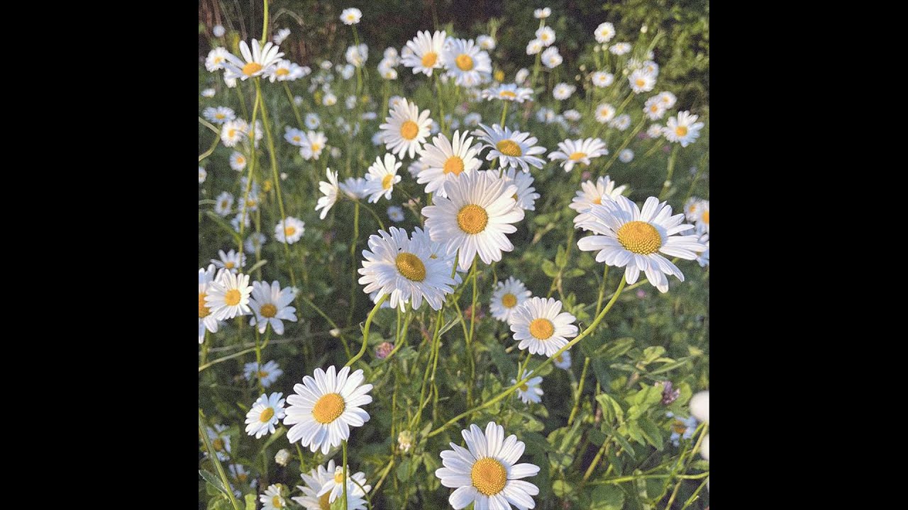 [FREE FOR PROFIT] TALWIINDER x MITRAZ TYPE BEAT - "EHSAAS"