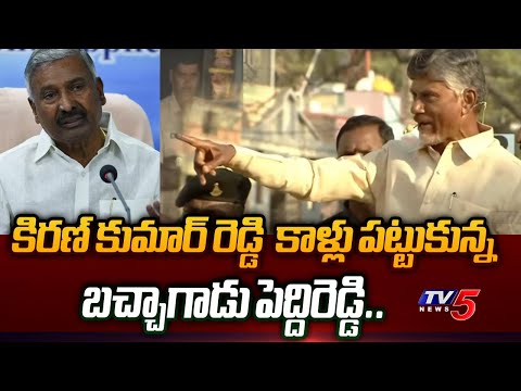 కొవ్వెక్కిందా.. | Chandrababu SENSATIONAL COMMENTS On Peddireddy Ramachandra Reddy | TV5 News - TV5NEWS