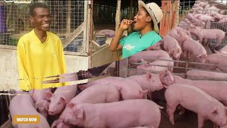 How To Cut Down Costs By Planting Your Own Pig Feeds | Retired Teacher Now Pig Farmer Explained