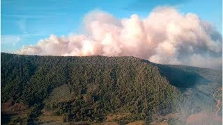 Más de 2.500 hectáreas lleva consumido incendio forestal en región del Biobío