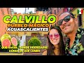 Video de Calvillo