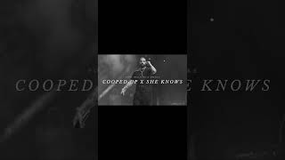 cooped up x she knows [slowed] - drake x post malone (part 3) #shorts #remix