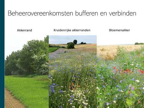 Toelichting voor landbouwers over de beheerovereenkomsten bufferen en verbinden