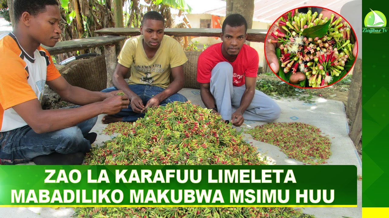 ZAO LA KARAFUU LIMELETA MABADILIKO MAKUBWA MSIMU HUU