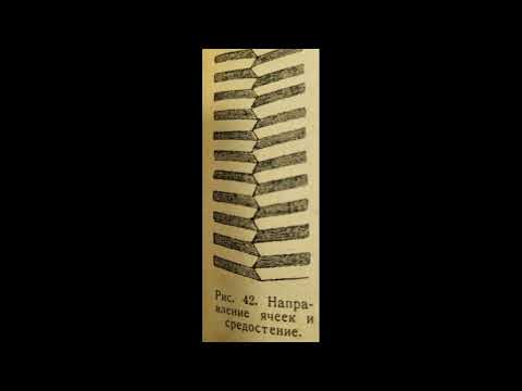 🔴 Секрет шестигранной ячейки пчёл раскрыт! Видео по пчеловодству для начинающих 2022 🔴