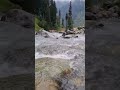 Beautiful valley and water! Aru Valley! #ytshorts #shortsfeed #travel