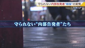 詐欺罪 Youtube