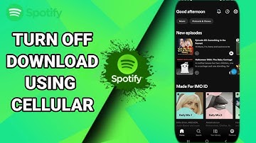 How To Turn Off Download Using Cellular On Spotify Music And Podcasts App