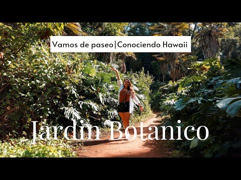 Video: Los mejores jardines botánicos de Oahu