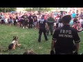 K9 protects police officer watch the dogs reaction